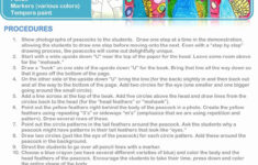 25 Elementary Art Lesson Plan Template In 2020 With Images Art