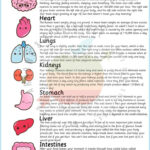 Anatomy Game Printable Human Body Preschool Activity About Me Kids