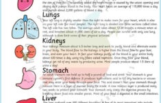 Anatomy Game Printable Human Body Preschool Activity About Me Kids