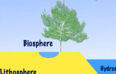 Free Science Lesson Plans Geology Atmosphere Lithosphere Hydro