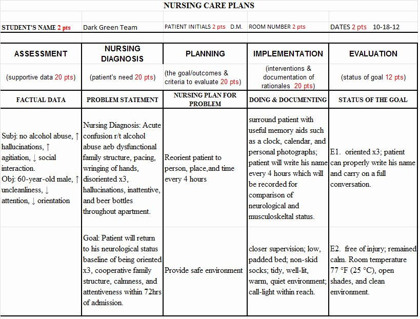 Printable Lesson Plan Nursing Template Printable Lesson Plans