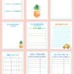 The Best Printable Homeschool Planner For Free Download Homeschool