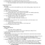 The Progressive Era Worksheet Us History Chapter 9 Progressive Era